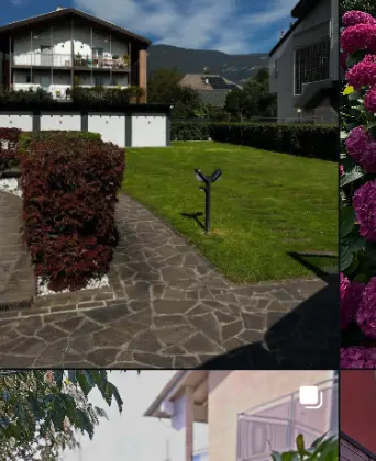 Giardino mantenuto da Garden25